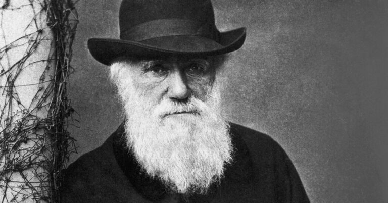 when-charles-darwin-met-harriet-martineau-she-enjoyed-a-level-of-influence-he-could-not-imagine