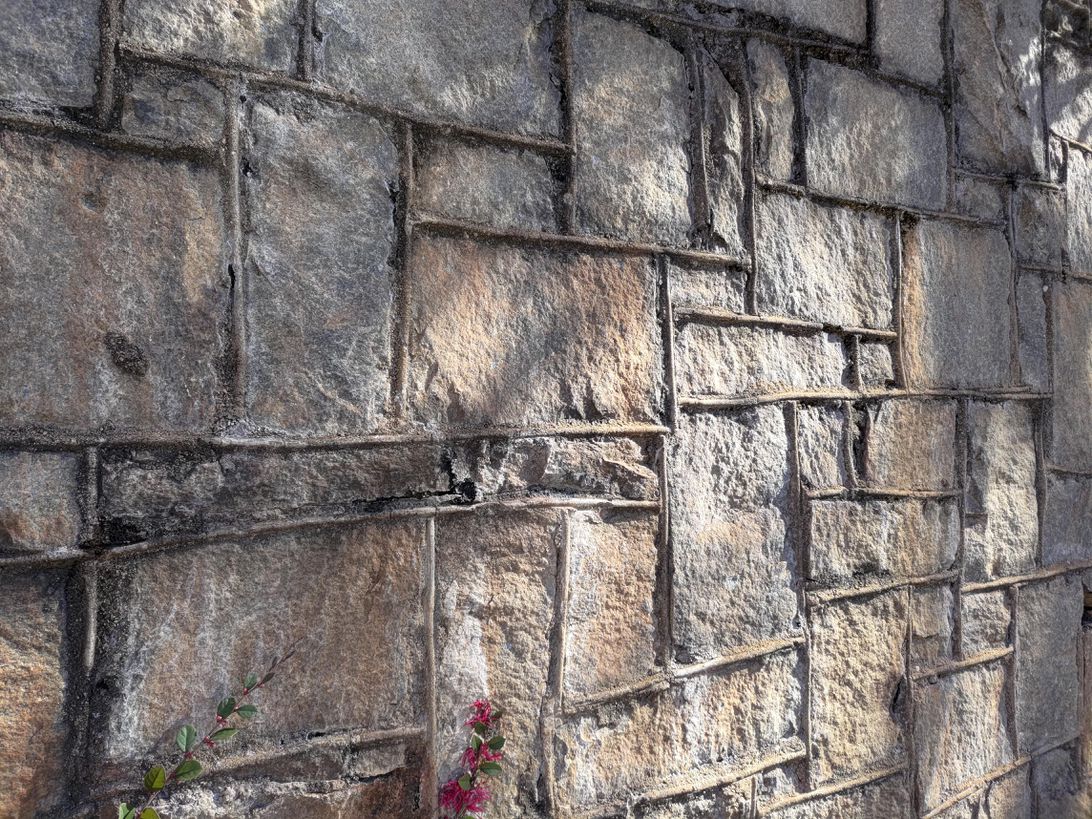 Asus ROG Phone 5 photo