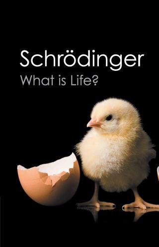 the-atom-and-the-doctrine-of-identity-quantum-pioneer-erwin-schrodinger-on-bridging-eastern-philosophy-and-western-science-to-illuminate-consciousness