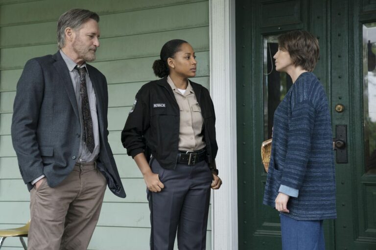 The Sinner season 4: What to remember before watching – CNET