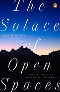 the-solace-of-open-spaces